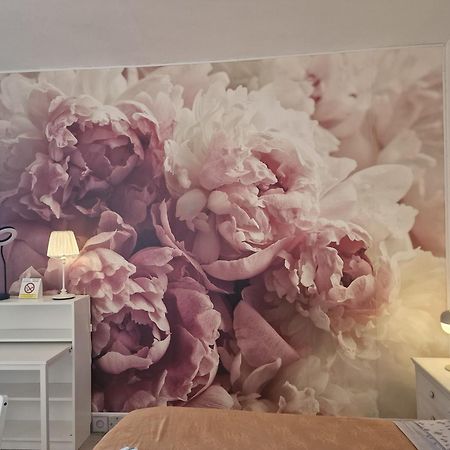 Casa Le Coccole Apartment Ливорно Екстериор снимка